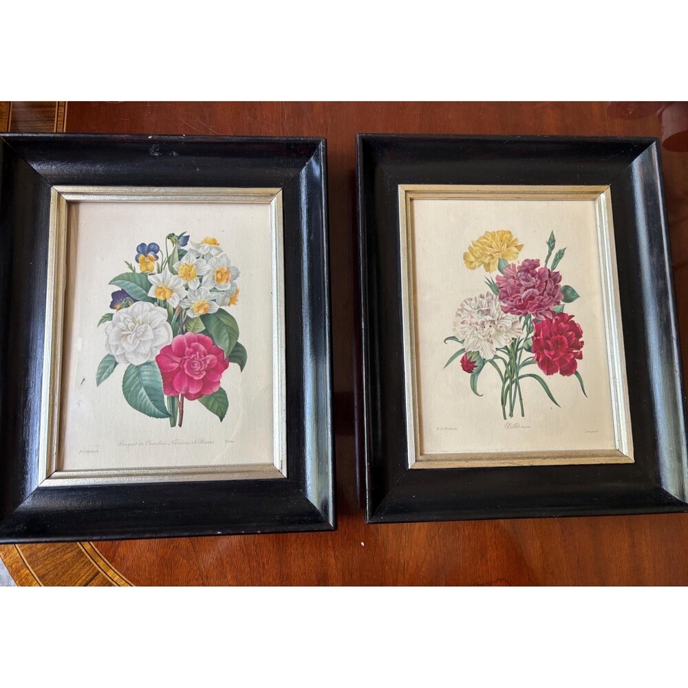 Framed vintage botanical botany prints, colorful floral